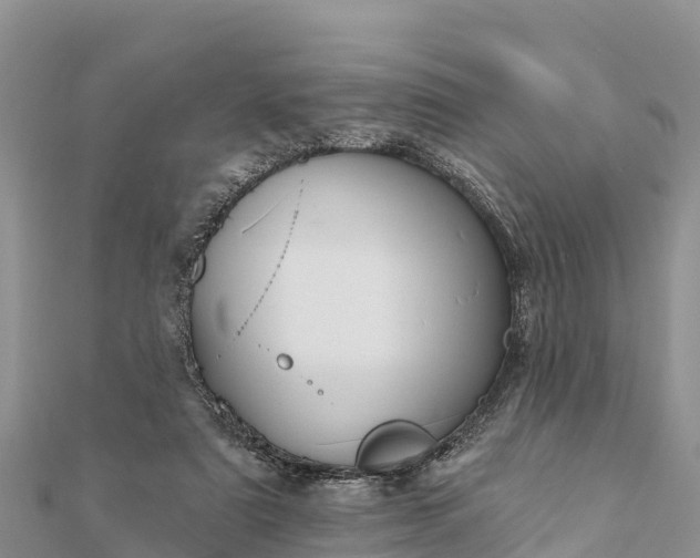 X0000112100307200908181331