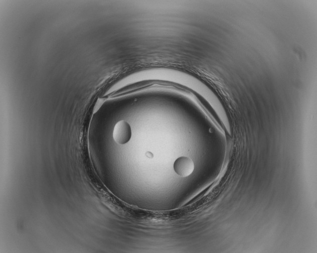 X0000112100308200908181331