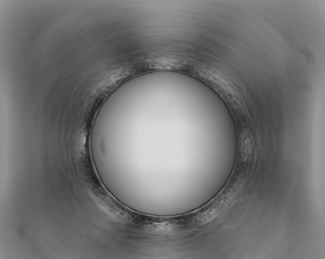 X0000112100310200908181331