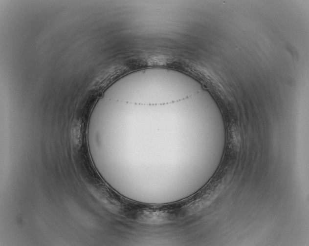 X0000112100311200908181331