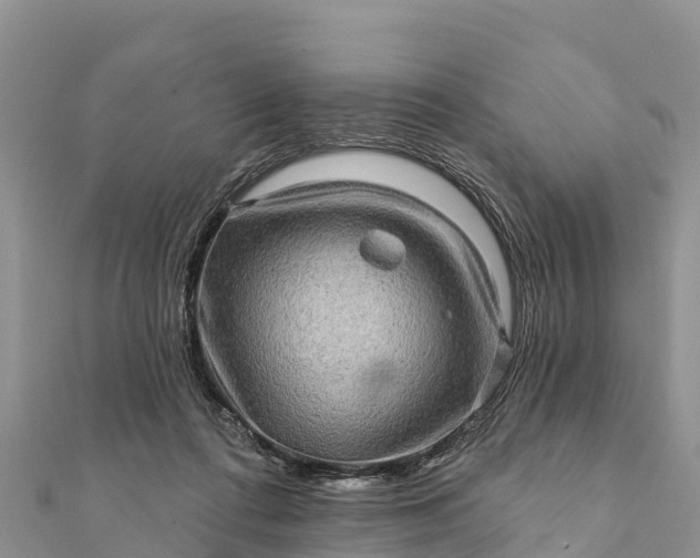 X0000112100312200908181331