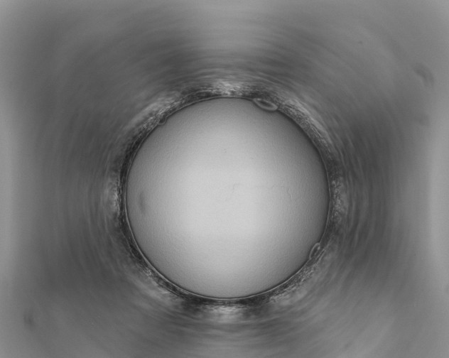 X0000112100313200908181331