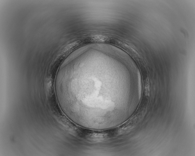 X0000112100314200908181331