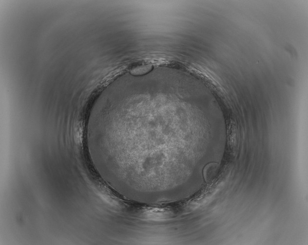 X0000112100315200908181331