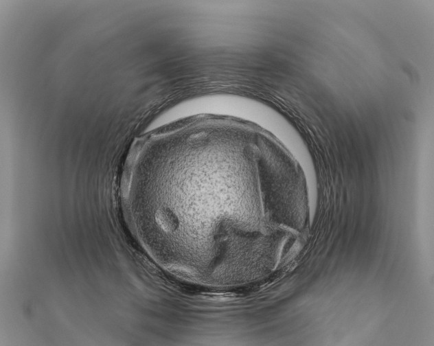 X0000112100316200908181331