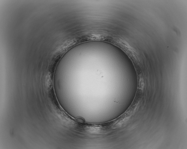 X0000112100318200908181331