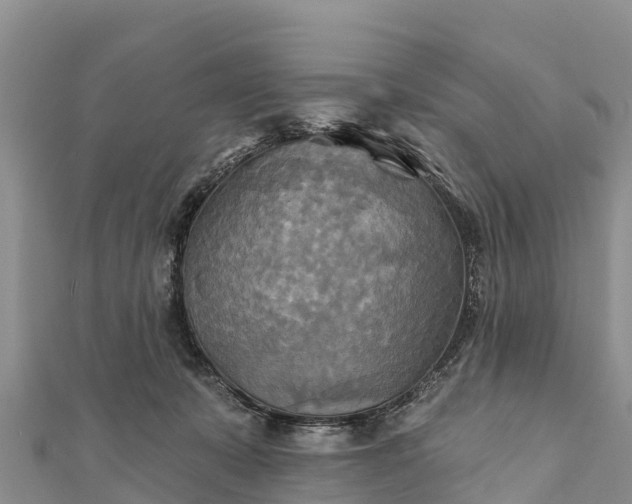 X0000112100319200908181331