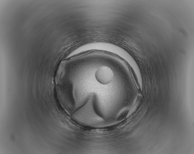 X0000112100320200908181331