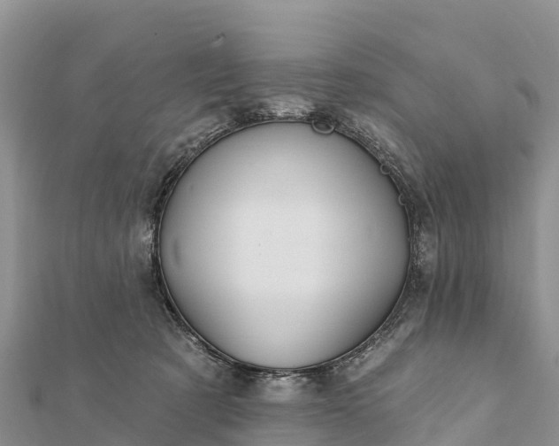 X0000112100321200908181331