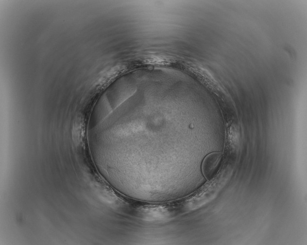 X0000112100322200908181331