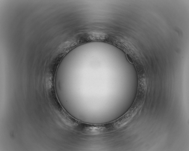 X0000112100323200908181331