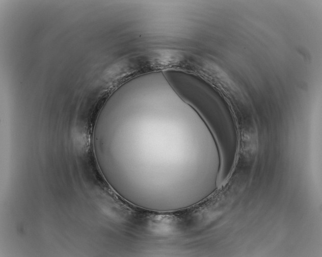 X0000112100324200908181331