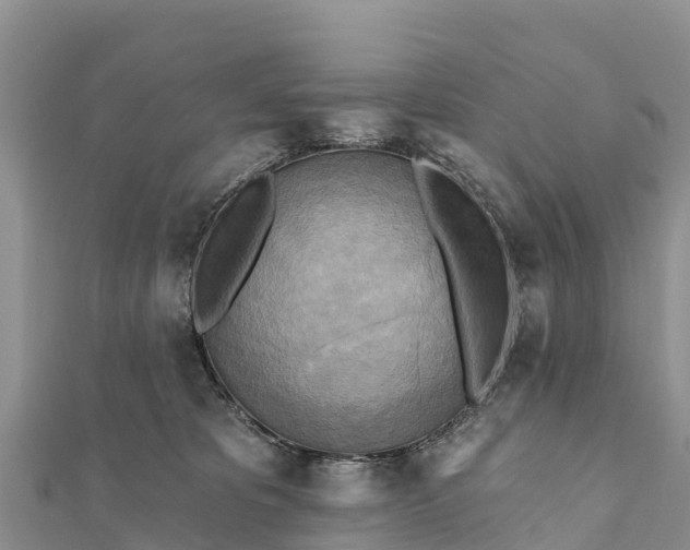 X0000112100325200908181331