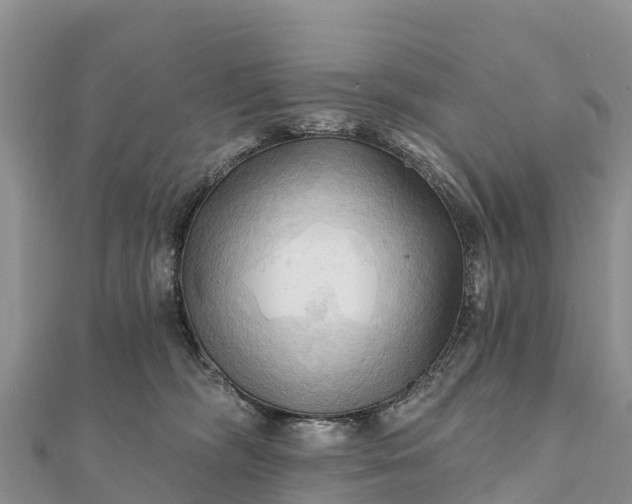 X0000112100326200908181331