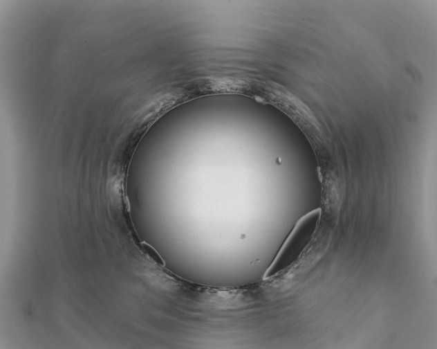 X0000112100329200908181331