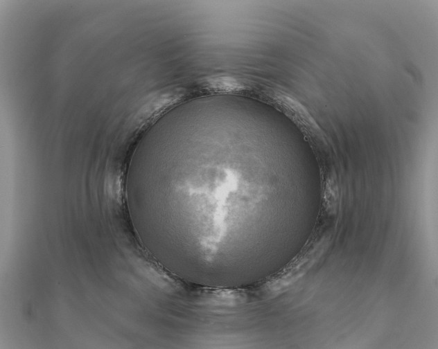 X0000112100330200908181331