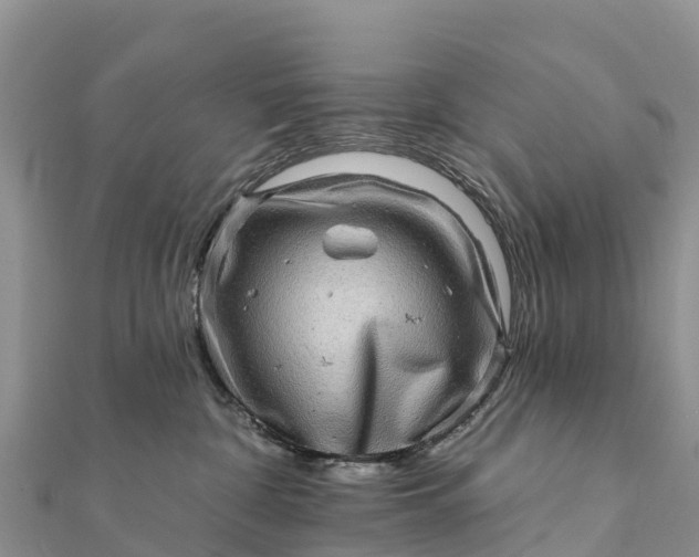 X0000112100332200908181331