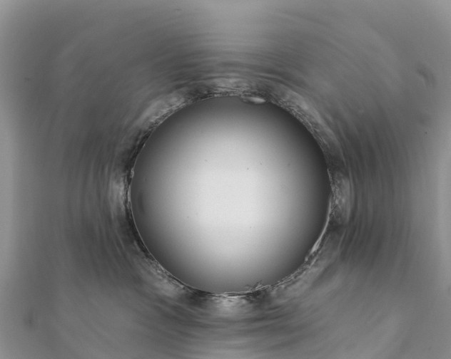 X0000112100333200908181331