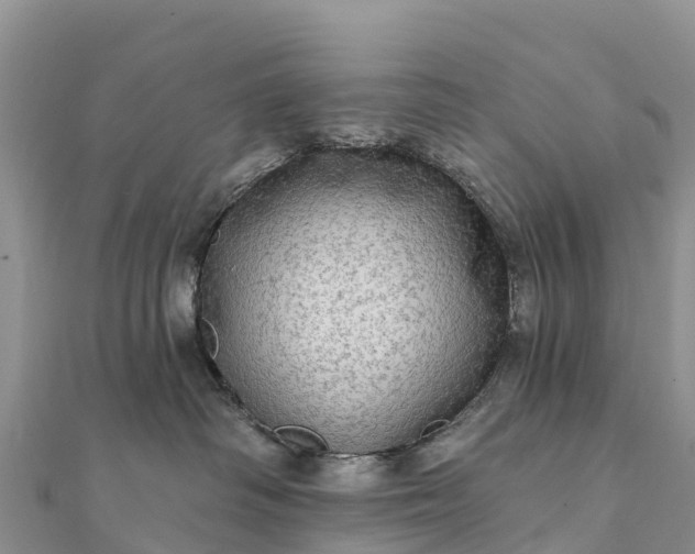 X0000112100334200908181331