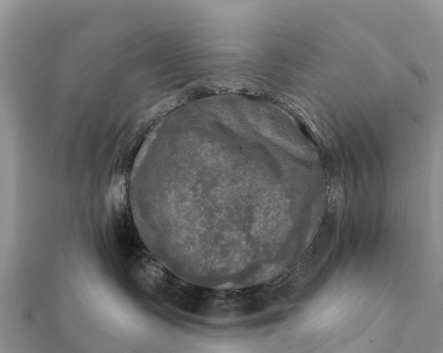 X0000112100335200908181331