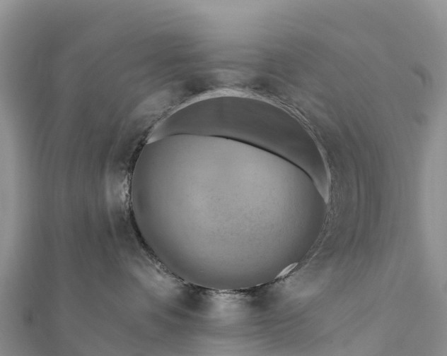 X0000112100336200908181331