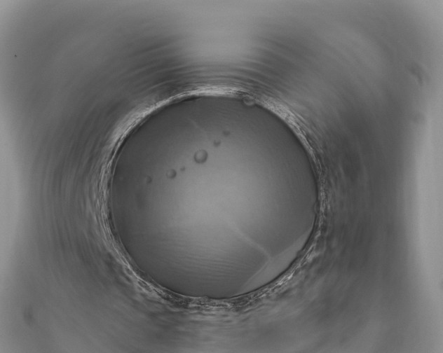 X0000112100337200908181330