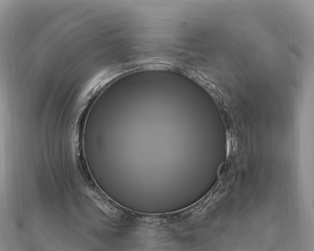 X0000112100339200908181330