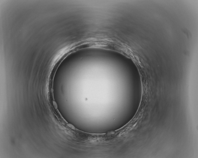 X0000112100340200908181330