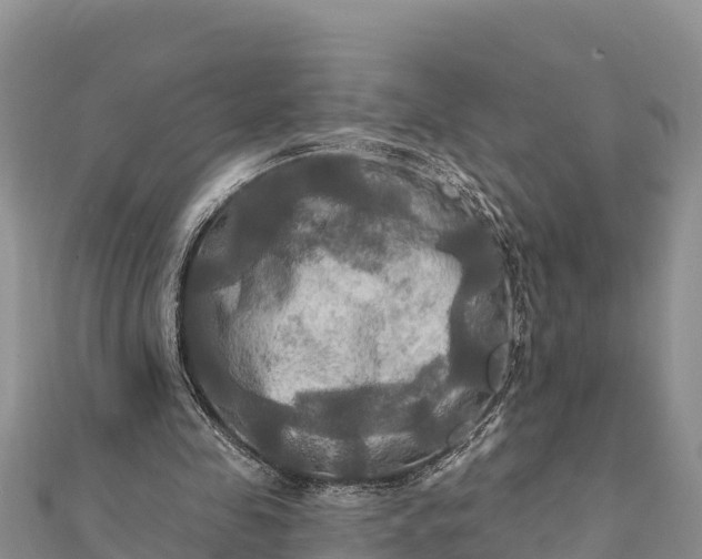 X0000112100341200908181330