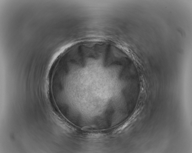 X0000112100342200908181330