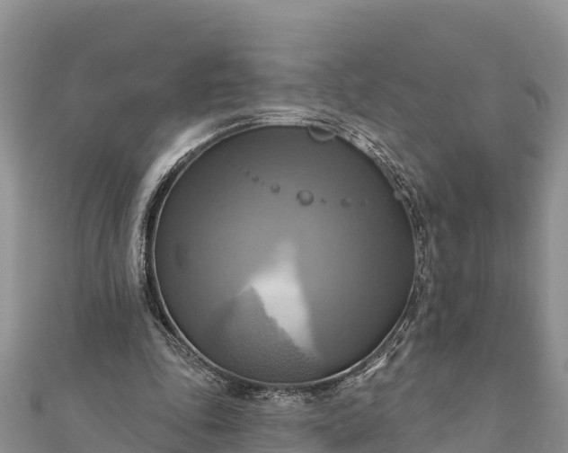 X0000112100343200908181330