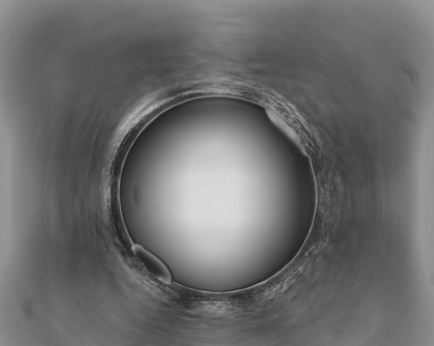 X0000112100344200908181330