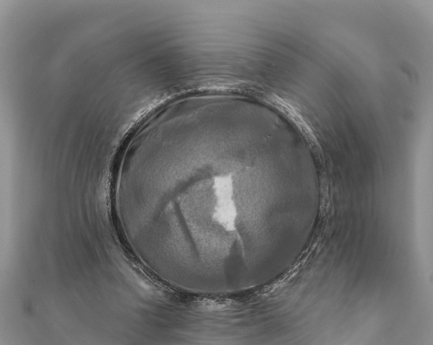 X0000112100346200908181330