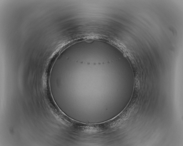 X0000112100347200908181330