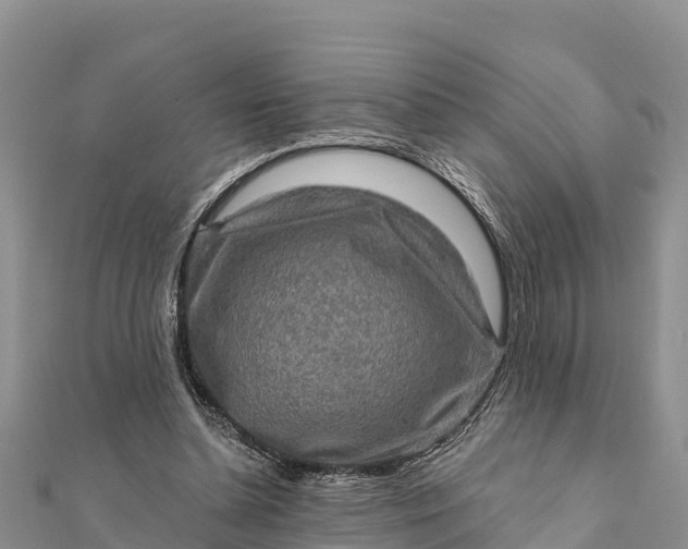 X0000112100348200908181330