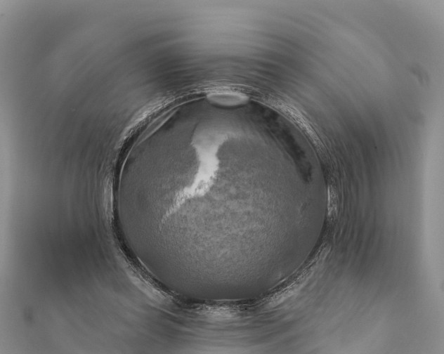 X0000112100349200908181330