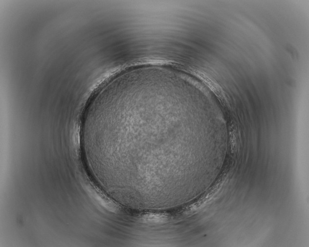 X0000112100350200908181330