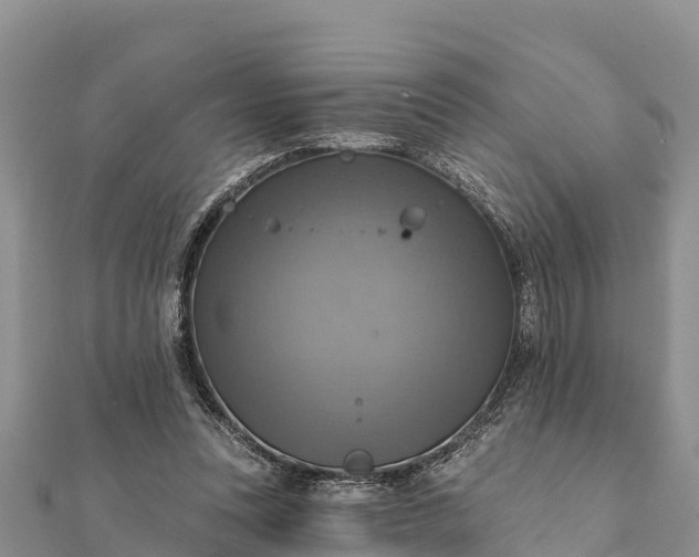 X0000112100351200908181330