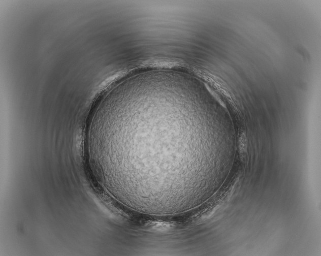 X0000112100352200908181330