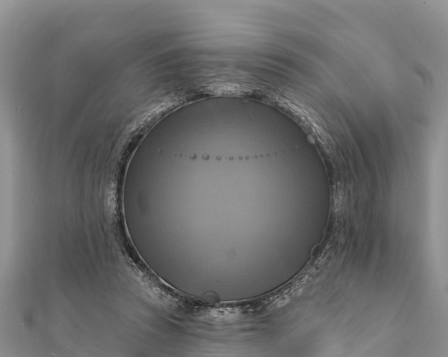 X0000112100353200908181330