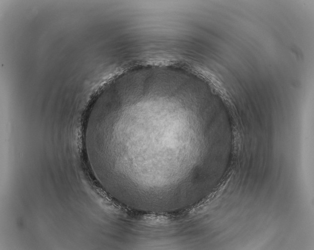 X0000112100354200908181330