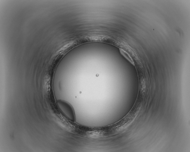 X0000112100356200908181330