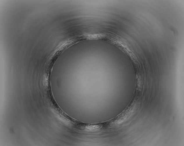 X0000112100357200908181330