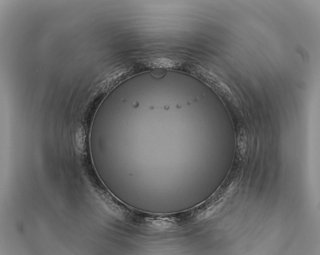 X0000112100359200908181330