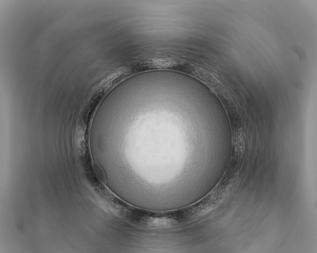 X0000112100360200908181330