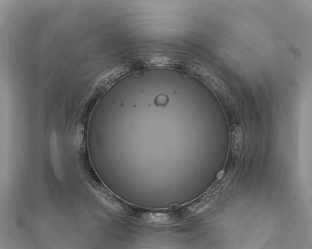 X0000112100361200908181330