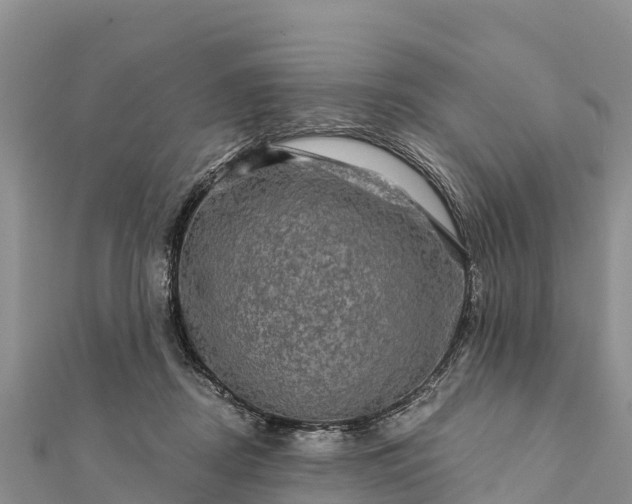 X0000112100362200908181330