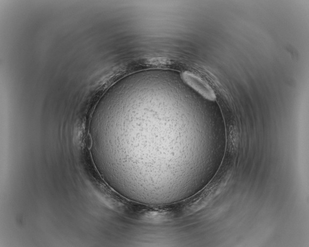 X0000112100364200908181330