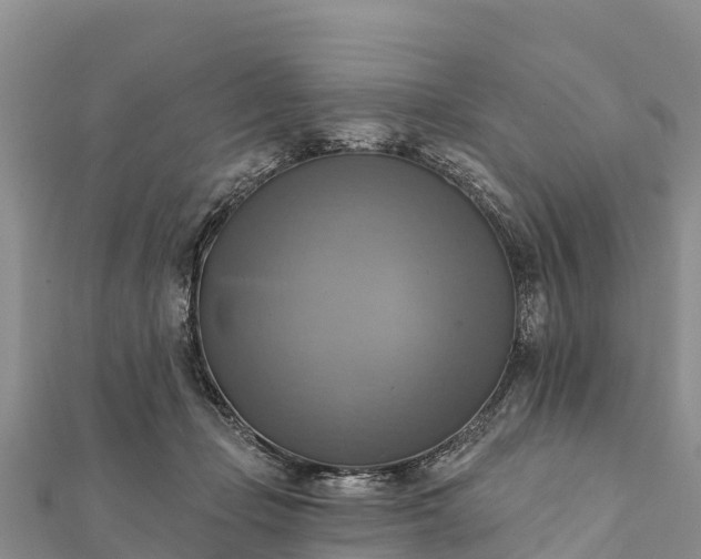 X0000112100365200908181330