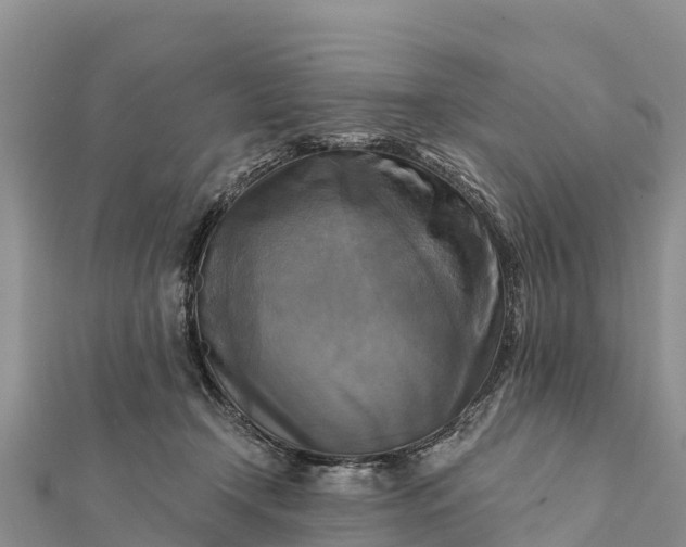 X0000112100366200908181330